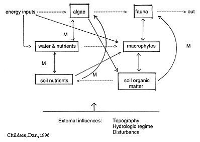 Flow diagram depicting interrelationships among biotic
and abiotic components within the HID ecosystem