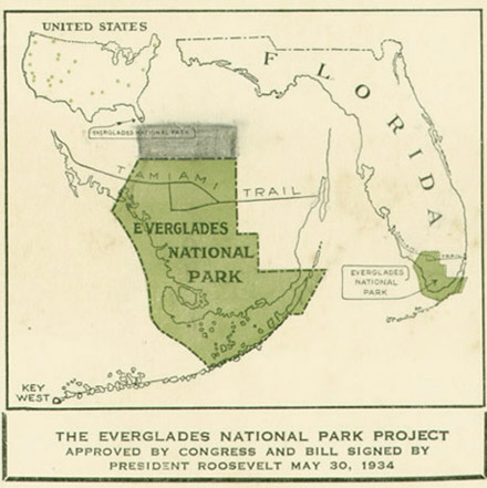 everglades timeline