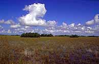 everglades timeline